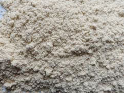 ľ�w�S�ۏS��